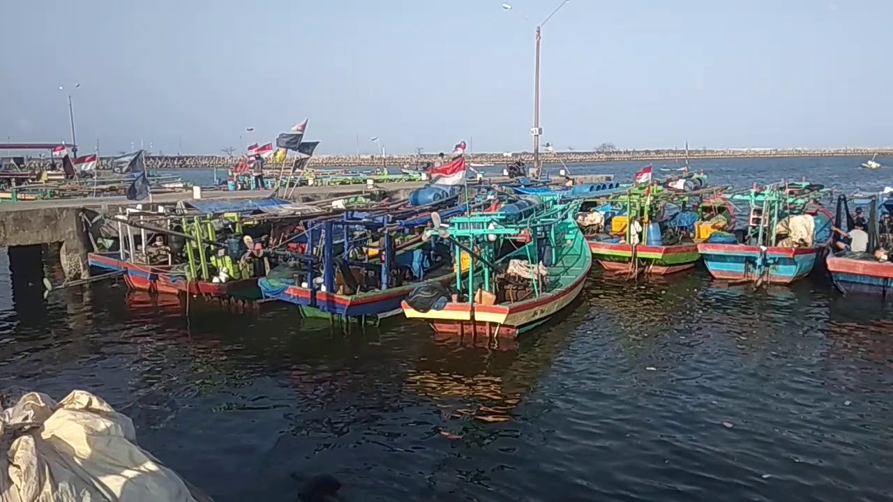 main tempat pelelangan ikan cilacap 