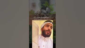 تلاوة تخشع لها القلوب من عبدالرحمن رهبيني  *انشر_الخير_يأتيك_الخير_لايك_فولو 💌