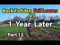 Back to Eden Gardening Method  Soil 101 with Wood Chips vs Leaves Composting G. Series # 12