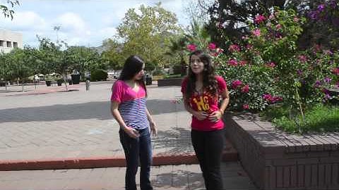 Value Of Honesty ITESM