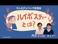 ノンカフェインでいつでも飲める【ルイボスティー】について紅茶専門家が徹底解説