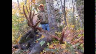 Lou Bull Moose, Zone 2, Maine Hunt