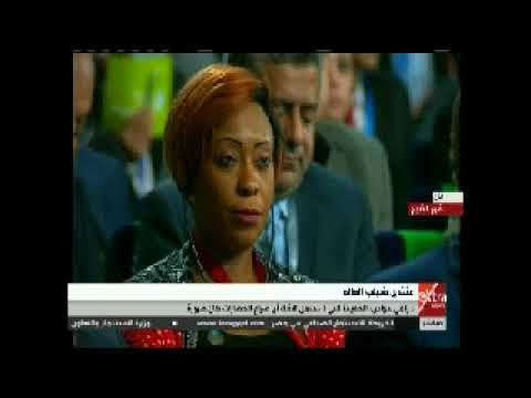 زاهى حواس:«الجيش المصرى لا يضرب امرأة أو طفل»