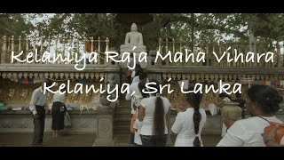 Video Download