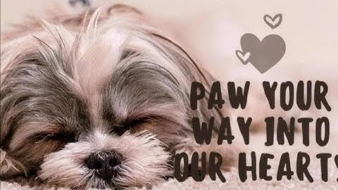 Poot je een weg naar ons hart - oktober 2025/30 dagen schetsen - dag 16 @jessicaemichaels