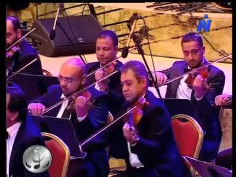 معزوفة الحب كله بكمنجة العازف المصري الشهير محمود سرور عازف الكمان الاشهر عربيا الان 