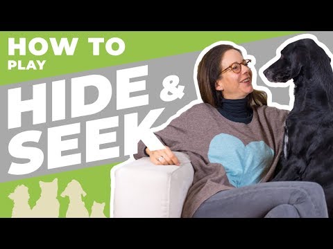 Video: Hide-and-Seek: un gioco divertente da giocare con il tuo cane