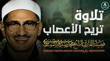 تلاوة رائعة | تبعد عنك القلق والتوتر وتريح الأعصاب | الشيخ محمد صديق المنشاوى