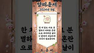 월간 양띠 운세 2024년 9월 #양띠 #오늘의운세 #내일의운세 #월간운세 #운세 #운세쇼츠