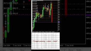 🔥 EA AUTO PROFIT FOREX GOLD 🔥Trading 24 JAM NONSTOP