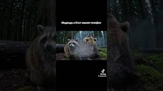 #приключения #медведь #блогер #юмор #прикол #енот #мем #блогеры #приколы #телефон #комедия #лес