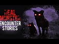 Allegedly REAL MONSTER Sighting Encounters