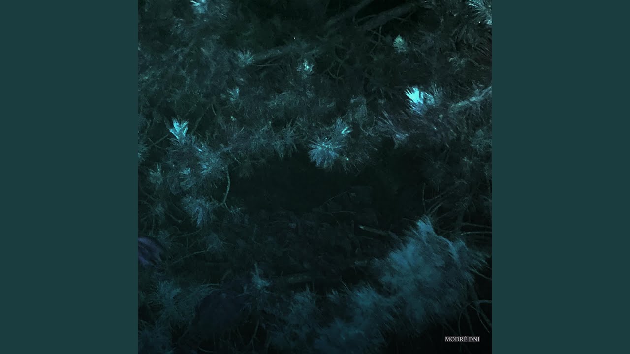 Watch Presvit on YouTube Watch Presvit on YouTube