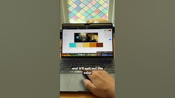 Color Palette Generator #filmmaking