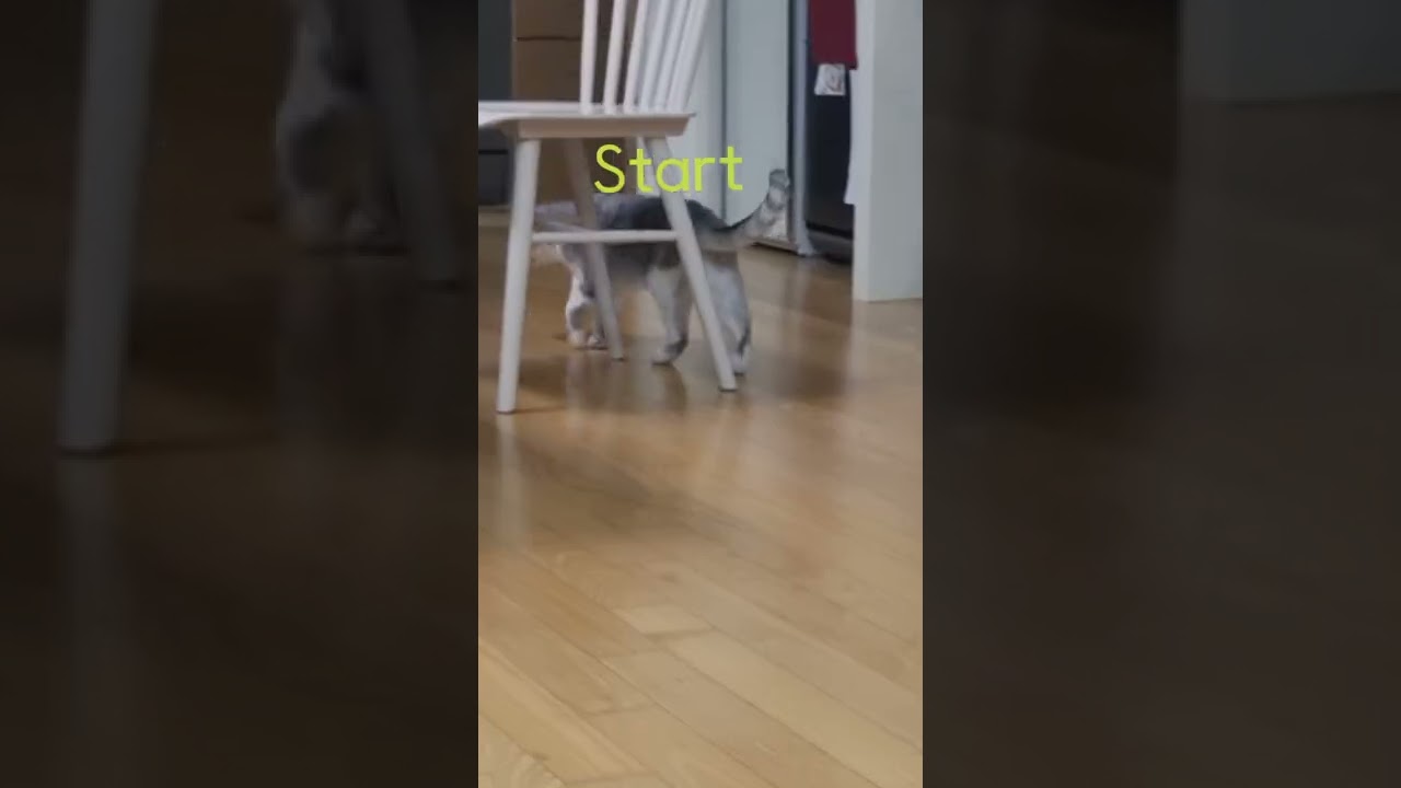 Week 0 of the nitting challenge 