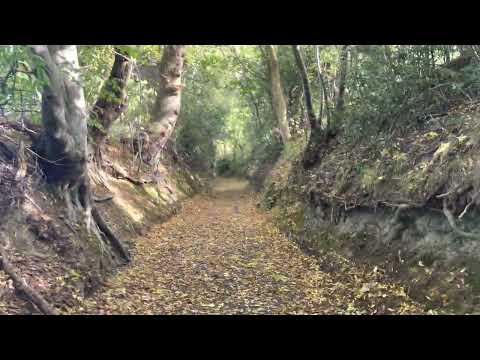 Walking down little lane Welshpool