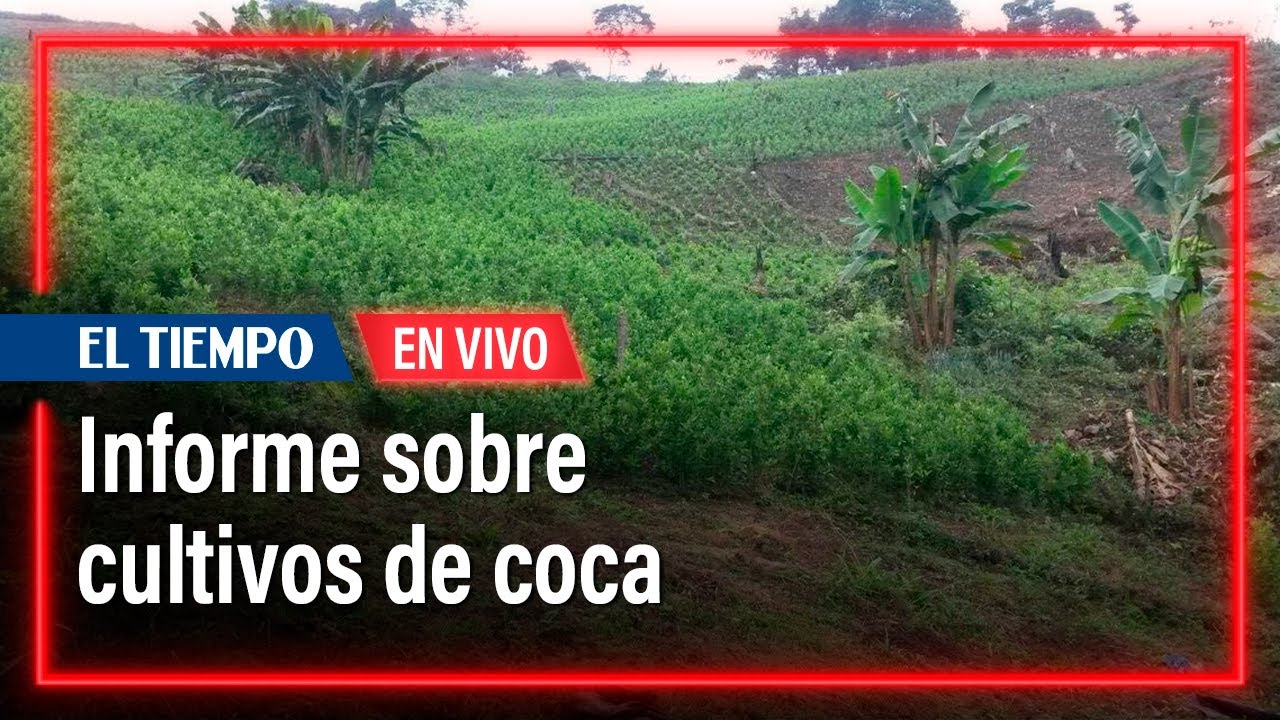 Presentación informe del Sistema Integrado de Monitoreo de Cultivos ...