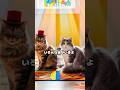 【AI MV】ショートVer.POPにしたにゃよ！雑種しか飼ったことがないヤツが作った純血種の猫の歌