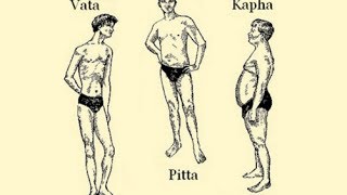 The Ayurvedic Body Types and Their Characteristics (Vata Pitta Kapha)