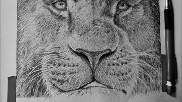 How to draw a nose for Lion | The Lion king drawing | Part-4