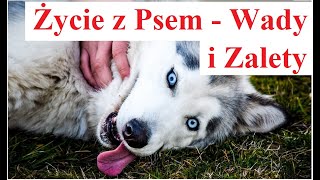 Życie z Psem - Wady i Zalety by Ciekawski jak Polak 773 views 1 month ago 11 minutes, 52 seconds