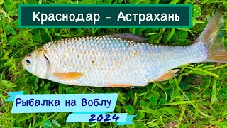 Рыбалка на Воблу в Астрахани 2024.  Краснодар - Астрахань