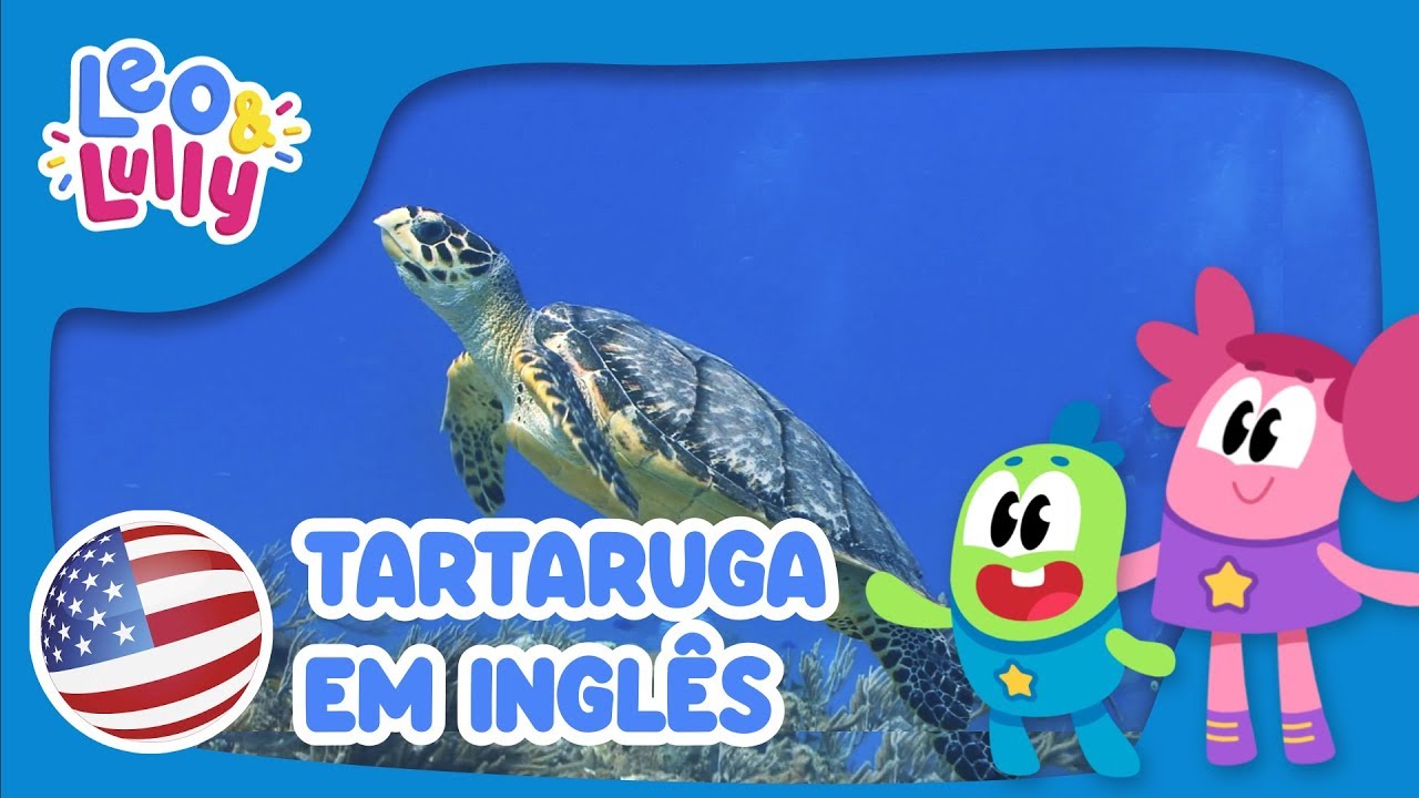 a-tartaruga-em-ingl-s-aprender-ingl-s-com-os-animais-youtube