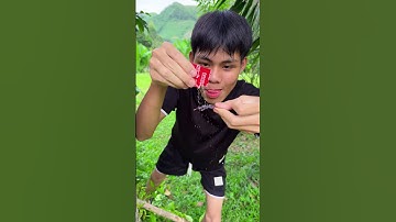 Bắt con bọ ăn với súp cocomi 🤤😋😯#shortsvideo