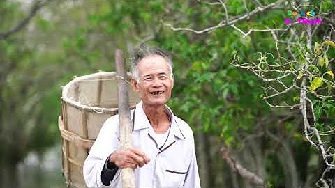 Rú Chá mùa thu đất trời Âu - khu rừng ngập mặn nguyên sinh quý hiếm vào mùa thay lá