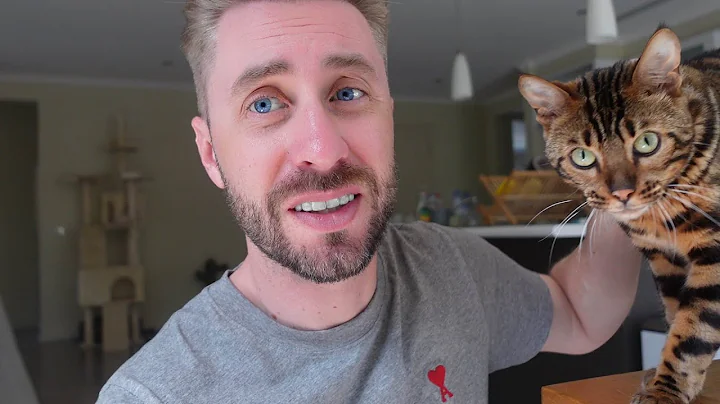 Saying Goodbye To Our Cat