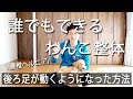 【わんこ整体】犬の腰椎ヘルニア 誰でもできる実際に後ろ足が動くようになった方法(体に負担をかけない超ソフト整体)