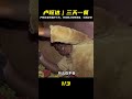 盧旺達女孩辛苦工作三天,只夠一家三口吃上一頓飽飯,紀錄片 #老A檔案室 #大案紀實錄 #案件調查 #懸案密碼 #懸案破解