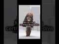 YASss #katseye #roblox #thedivaManon