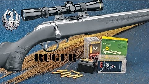 Cover Image for Ruger American .22 Review