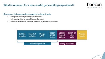 Gene Editing Success: Considerations for maximizing your CRISPR gene editing accuracy and efficiency