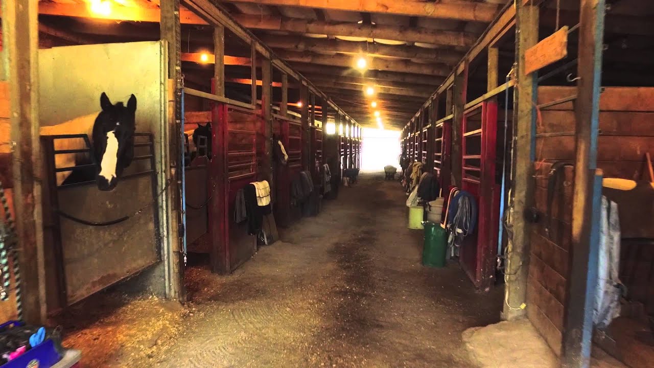 Sunny Ridge Ranch Sunny Ridge Ranch - YouTube