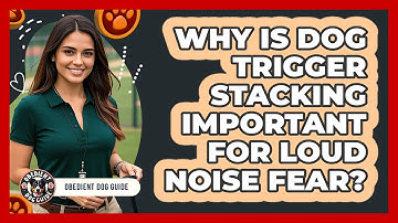 Why Is Dog Trigger Stacking Important For Loud Noise Fear? - Obedient Dog Guide
