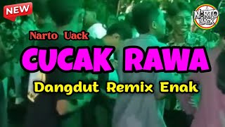 DANGDUT REMIX ENAK || CUCAK RAWA - Narto Uack 🌴