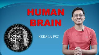 brain kerala psc| brain psc class in malayalam| brain psc questions | human brain psc malayalam