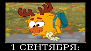 Муд Смешарики Демотиватор (Мед)