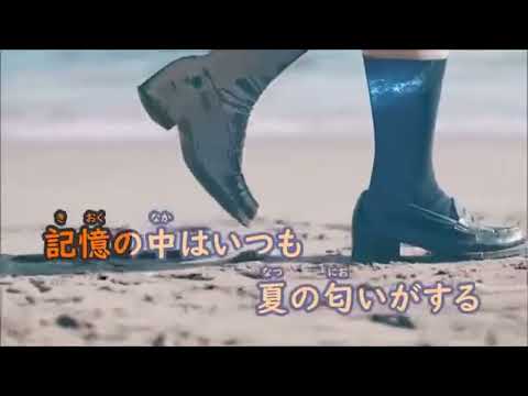 【歌ってみた】ただ君に晴れ/ヨルシカ (男性キー+3) Covered by あるそら