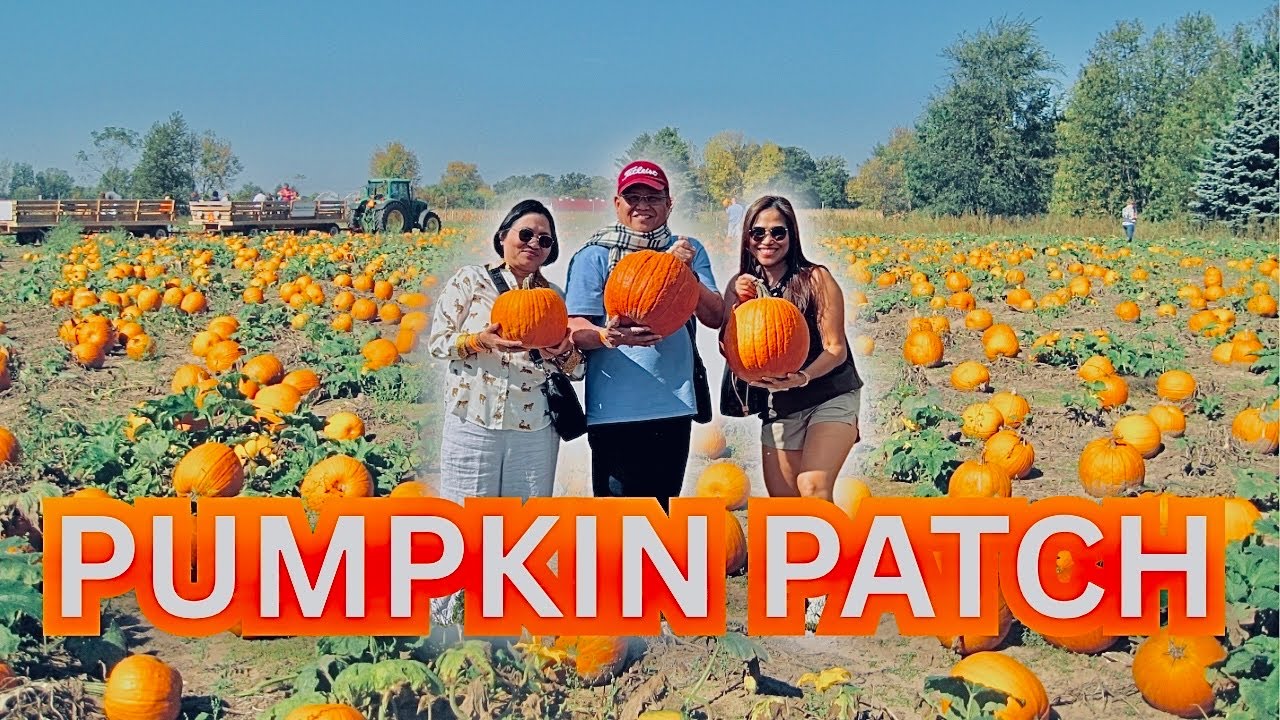 THE GREAT PUMPKIN PATCH ADVENTURE WITH MY PARENTS | THIS IS FUN!!