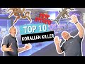 Die Top 10 Korallen-Killer - Unsichtbare Bedrohungen in deinem Aquarium!