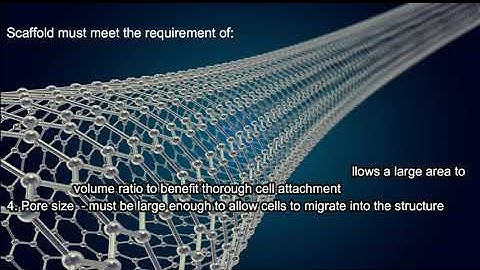 Polymeric Biomedical Scaffold