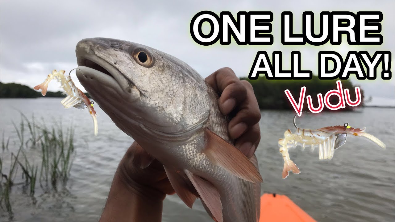 ONE LURE ALL DAY - VUDU SHRIMP NATURAL!! 