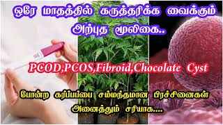 ஒரே மாதத்தில் கருத்தரிக்க அற்புத மூலிகை|how to get pregnant faster|malaivembu health benefits tamil