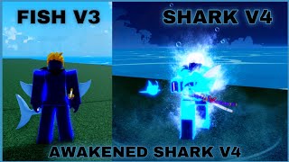 Getting Shark V4 with Full Upgrade ( Guild ) + Showcase In Blox Fruits screenshot 5