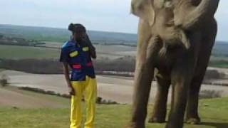 When Jammer Met The Elephant - Jahmanji Cover Shoot (Out 5th July On Big Dada)