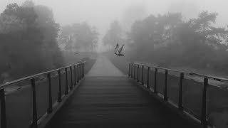 Trentemøller - Sleeper | Official Video (2019)