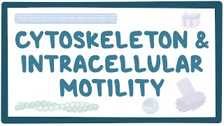 Cytoskeleton and intracellular motility